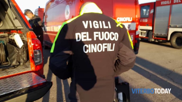 unita cinofile dei vigili del fuoco per le ricerche di rakip amzov