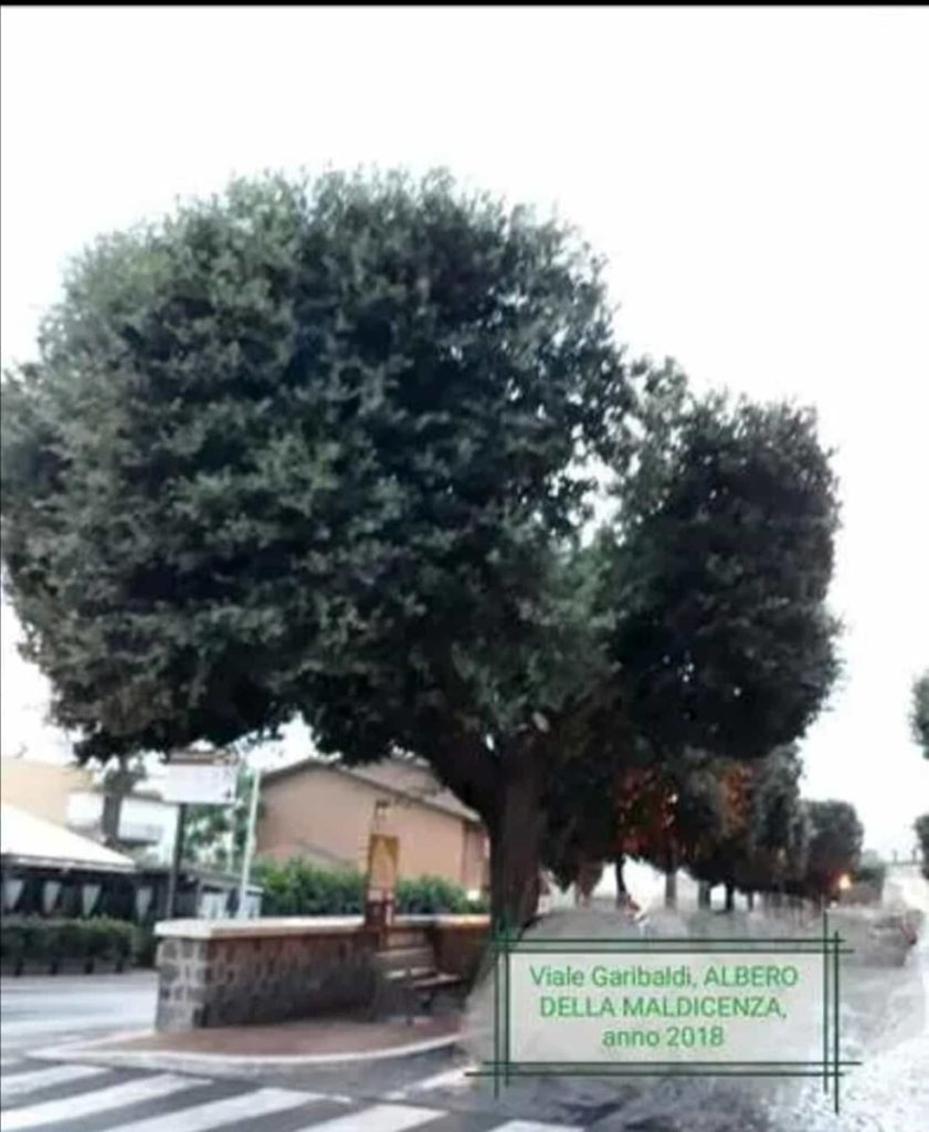 viale garibaldi montalto di castro