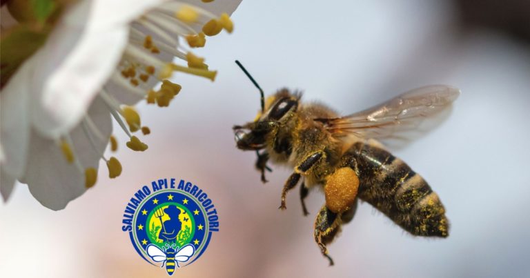 1 milione di firme per salvare api e agricoltori