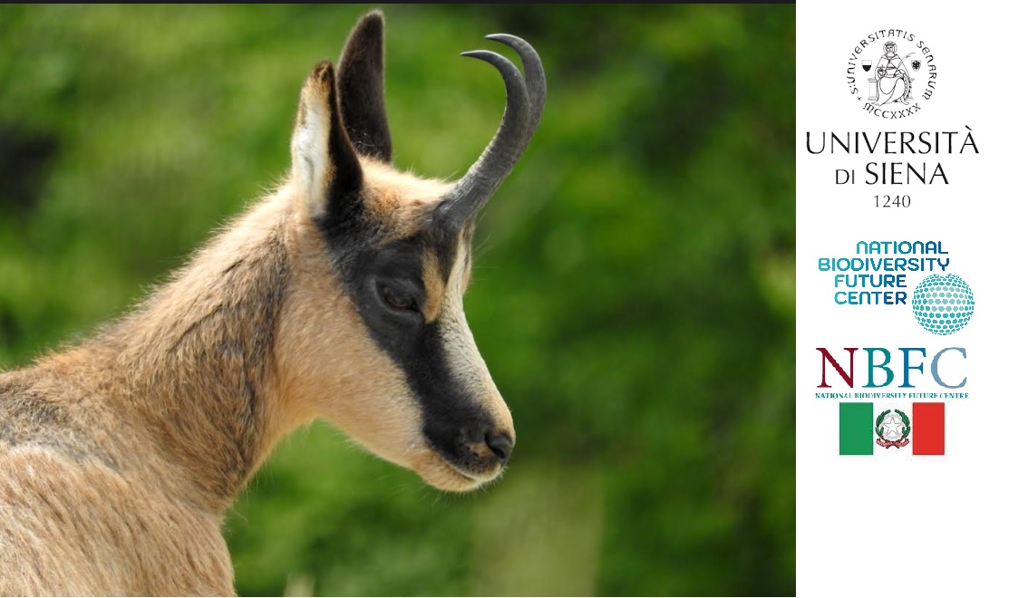 Cambiamento climatico e aggressivita nelle societa animali