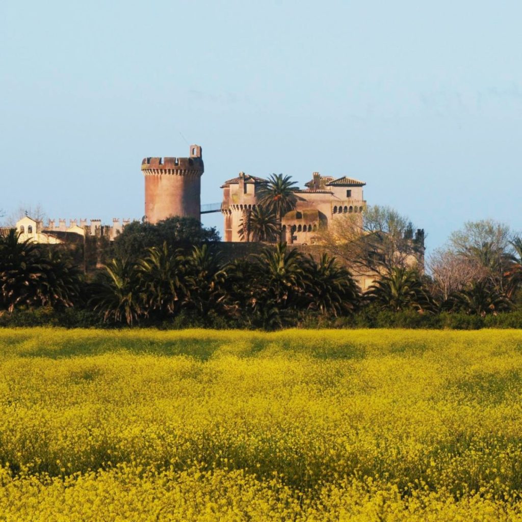 Castello con fiori 2