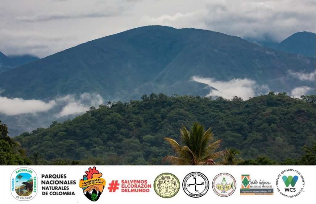 La Colombia salva il cuore del mondo