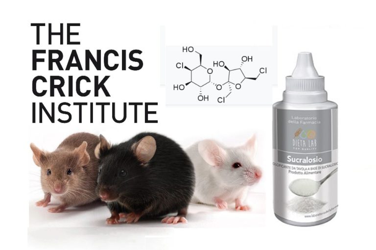 dolcificante artificiale potrebbe smorzare la risposta immunitaria dei topi
