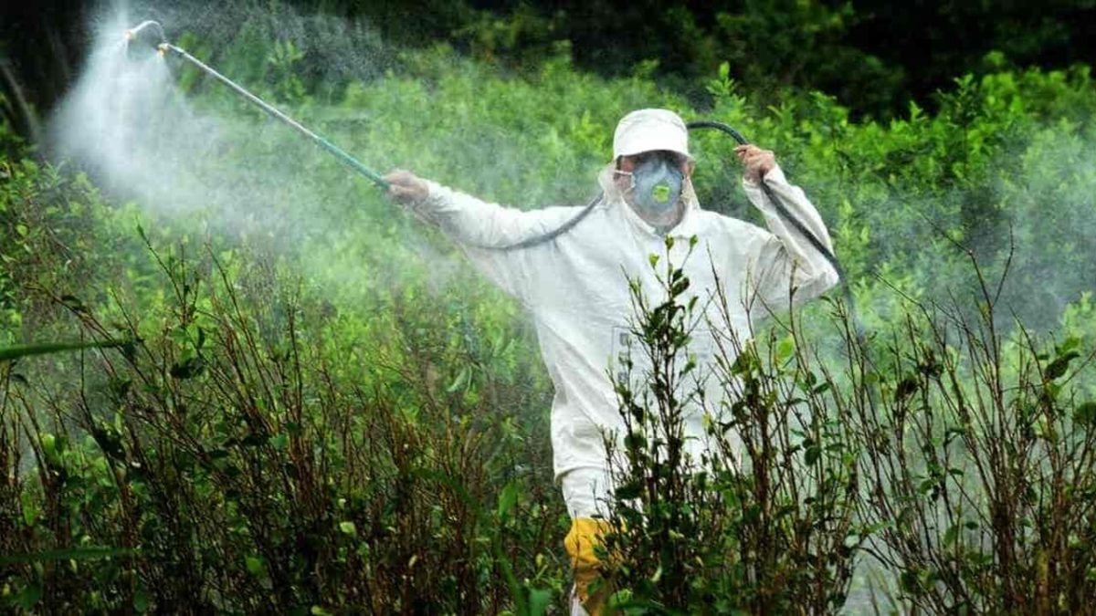 Glifosato, marcia indietro del comune: sì al diserbo chimico per le erbacce infestanti. Ambientalisti preoccupati