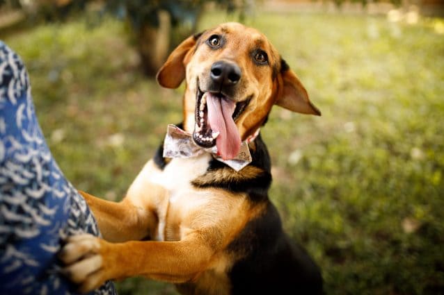 iStock 1207792024 638x425 1