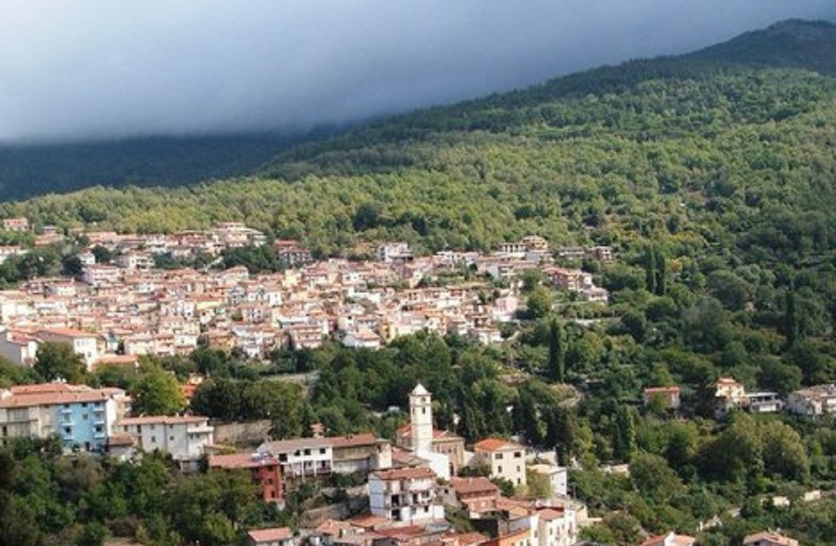 image 9772519e bf92 4cbf b979 8d60a4b4a7bb