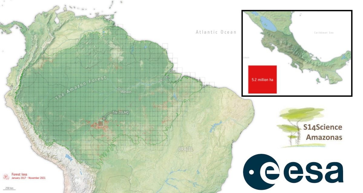 Esa: in 4 anni persi 5,2 milioni di ettari foresta amazzonica. Una superficie grande come il Costa Rica 1 in 4 anni persi 52 milioni di ettari foresta amazzonica