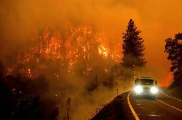 incendi boschivi hanno emesso una quantita record di CO2