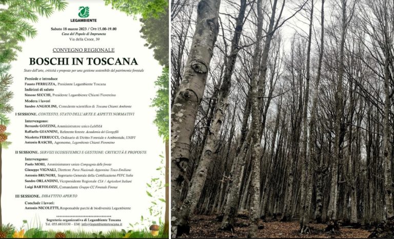 lo stato dei boschi in Toscana