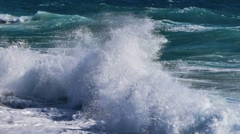 mare