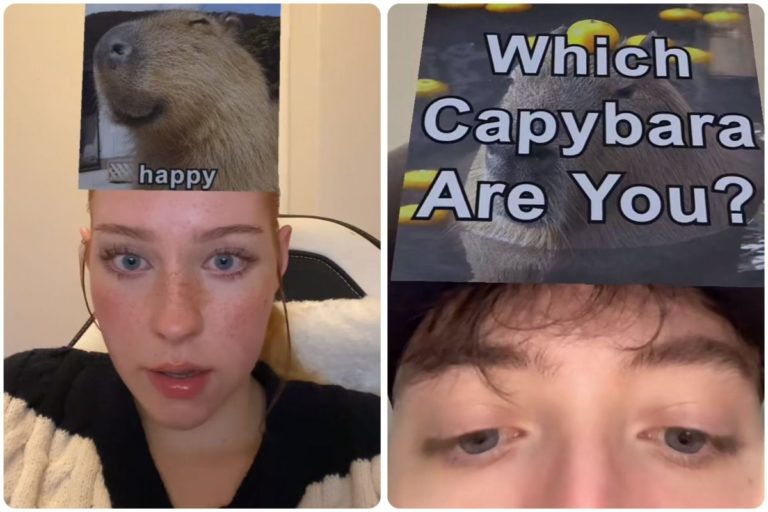 quale Capybara sei