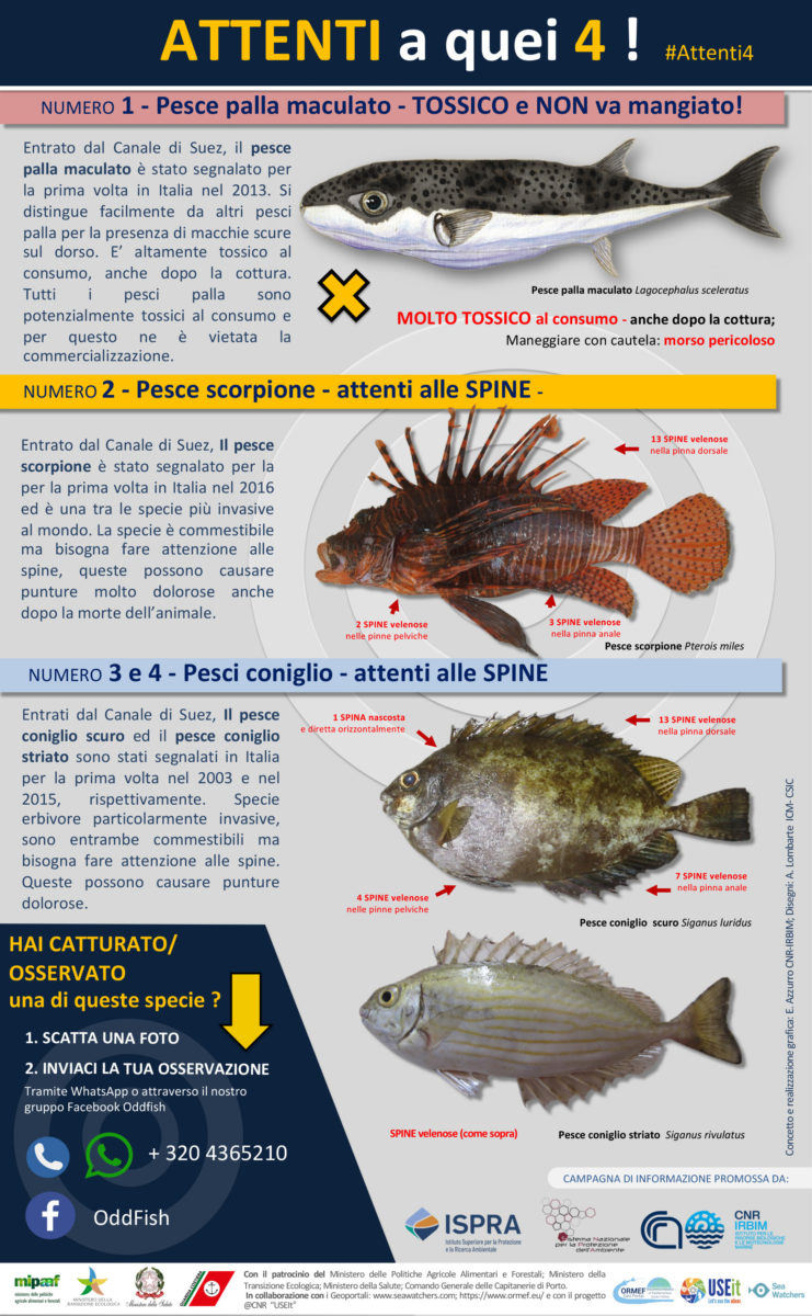 quali sono i pesci alieni