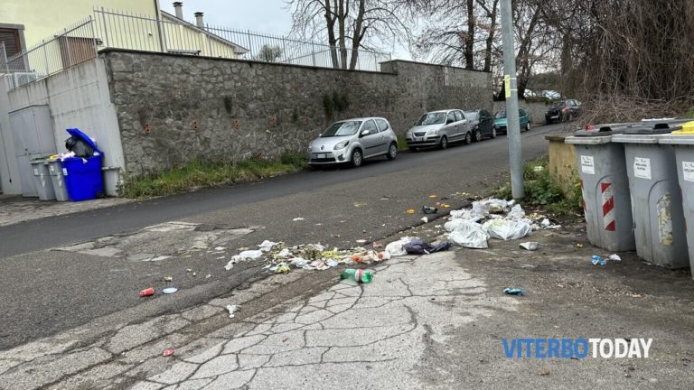 via de gasperi rifiuti cinghiali 2