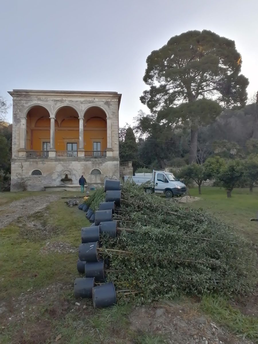 villa bruschi falgari partono le piantumazioni 1