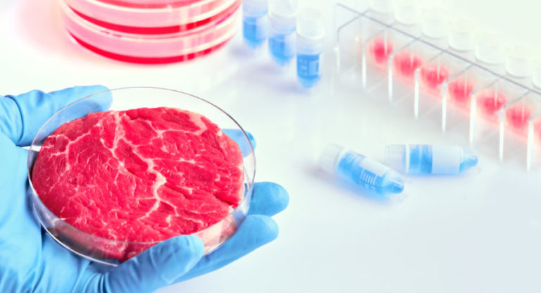 Produzione di carne sintetica: la tecnologia alla base