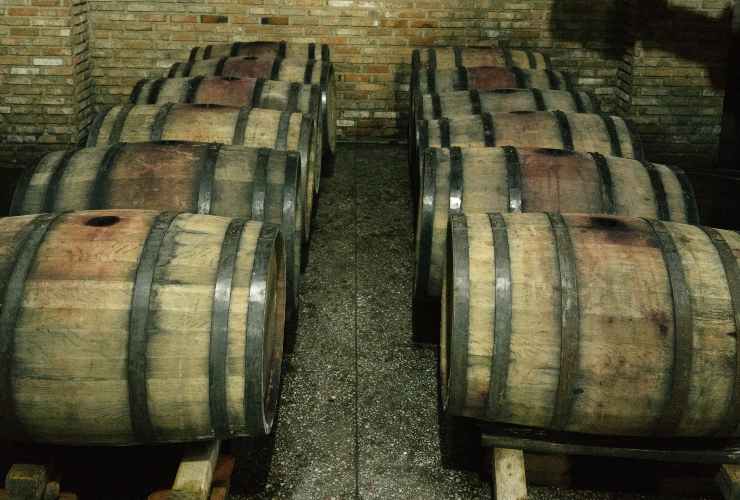 botti di vino
