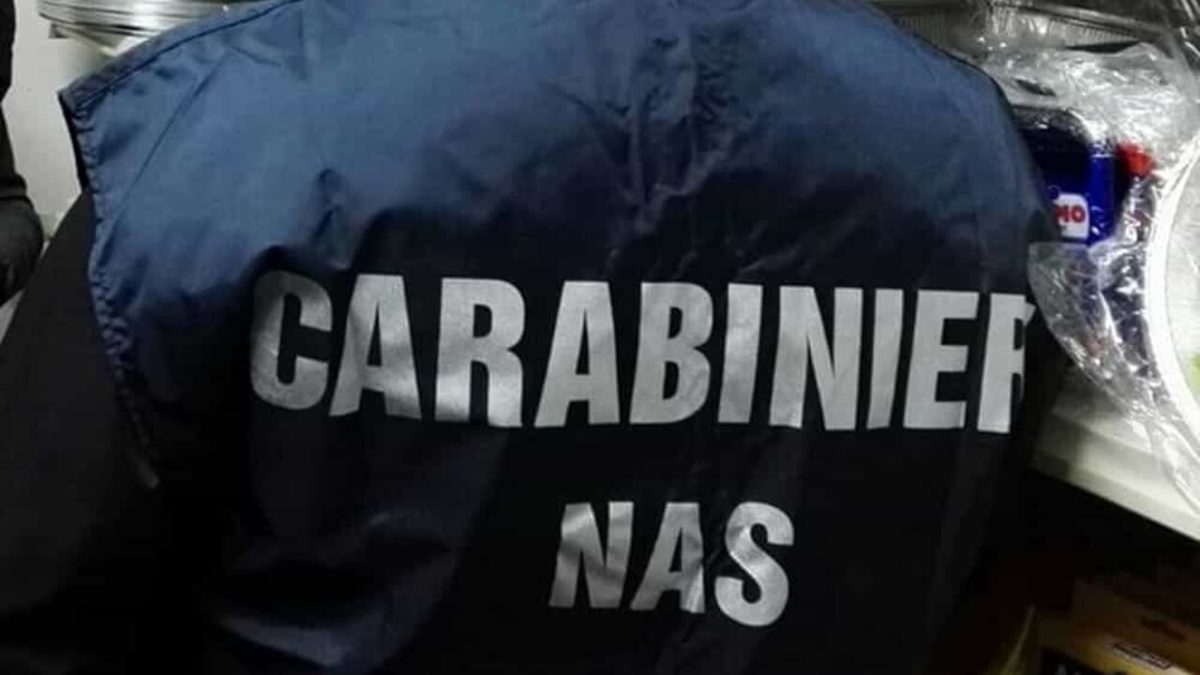 Bar da incubo a Canino: sporchi e con cibi mal conservati. E c'è chi usa telecamere per "spiare" i dipendenti 1 carabinieri nas
