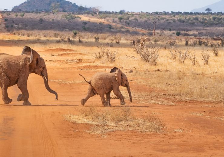 deserto rosso