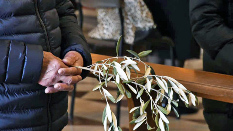 domenica delle palme