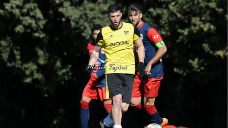 favl cimini 28