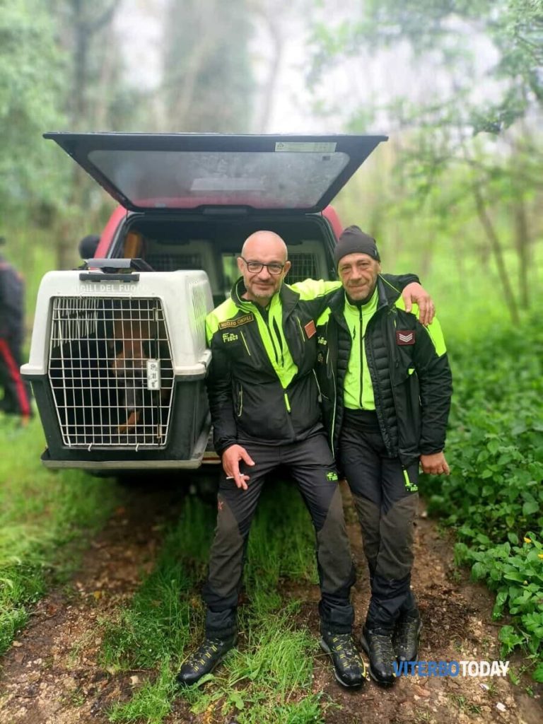 francesco pinna e andrea guiso