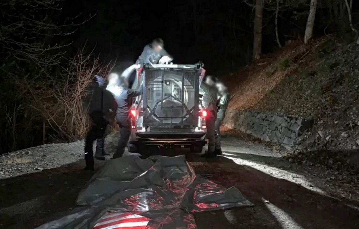 Cattura dell’orsa jj4, Lav: “Portatela all’estero” 1 image ab5aa299 fc36 498e bd28 8887ded9ccc8