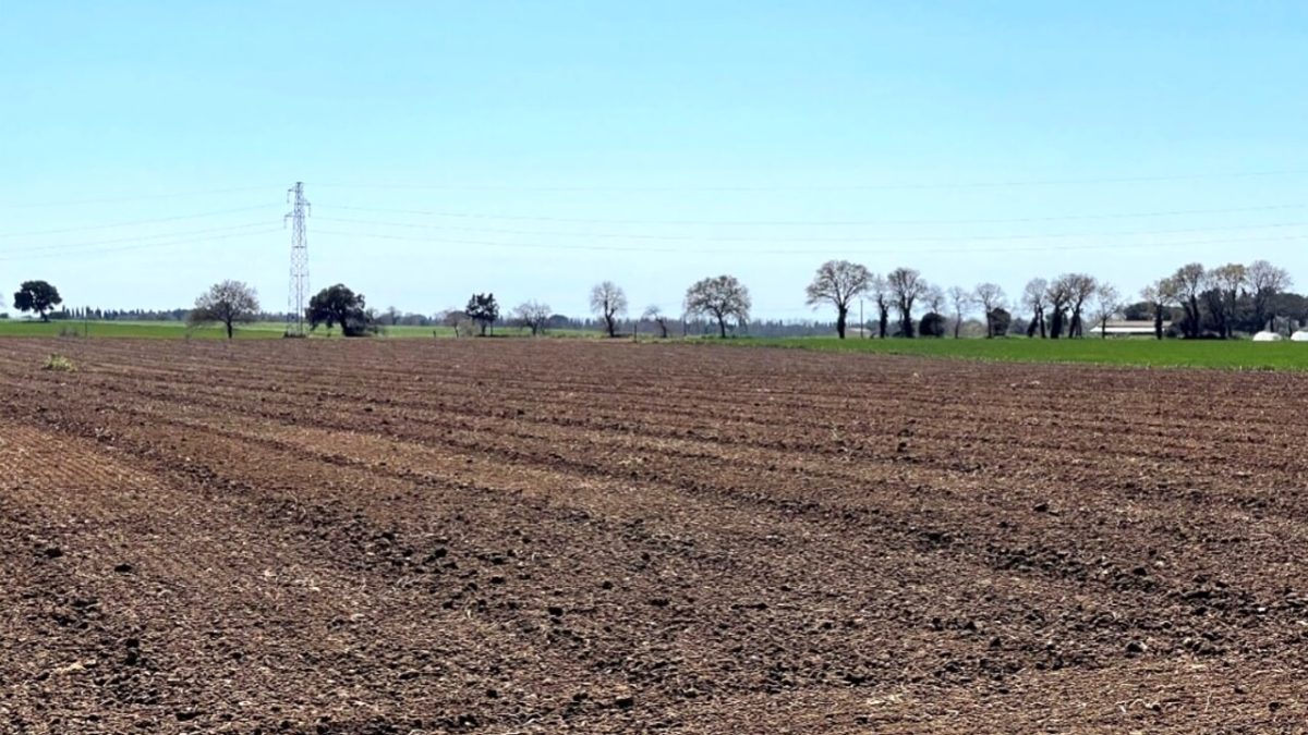 Rocca dice "stop" ai pannelli solari ma a Tarquinia ne verranno installati più di 4mila 1 impianto fotovoltaico tarquinia