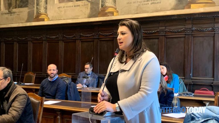 luisa ciambella natale