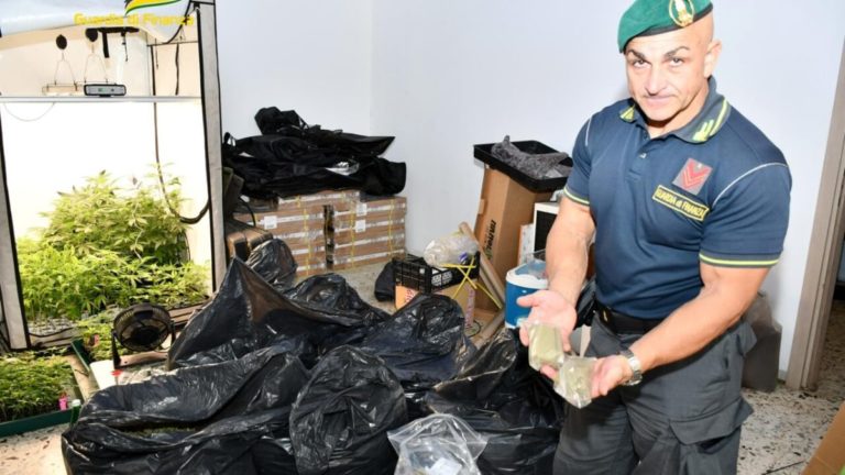 operazione antidroga della guardia di finanza la sostanza sequestrata