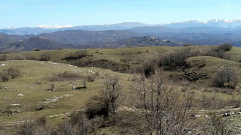 sito impianto vivaro romano foto progetto