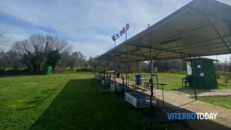 tiro al volo canino
