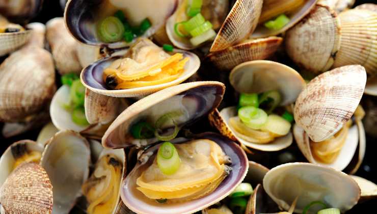 Vongole molluschi o crostacei