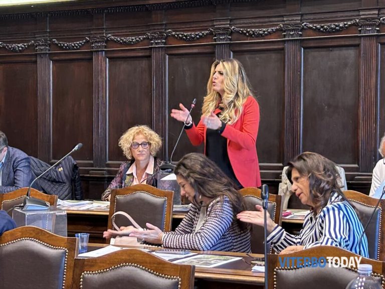 alessandra troncarelli in consiglio comunale 2