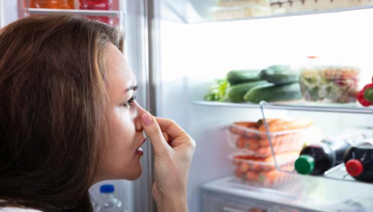 cattivi odori provenienti dal frigo