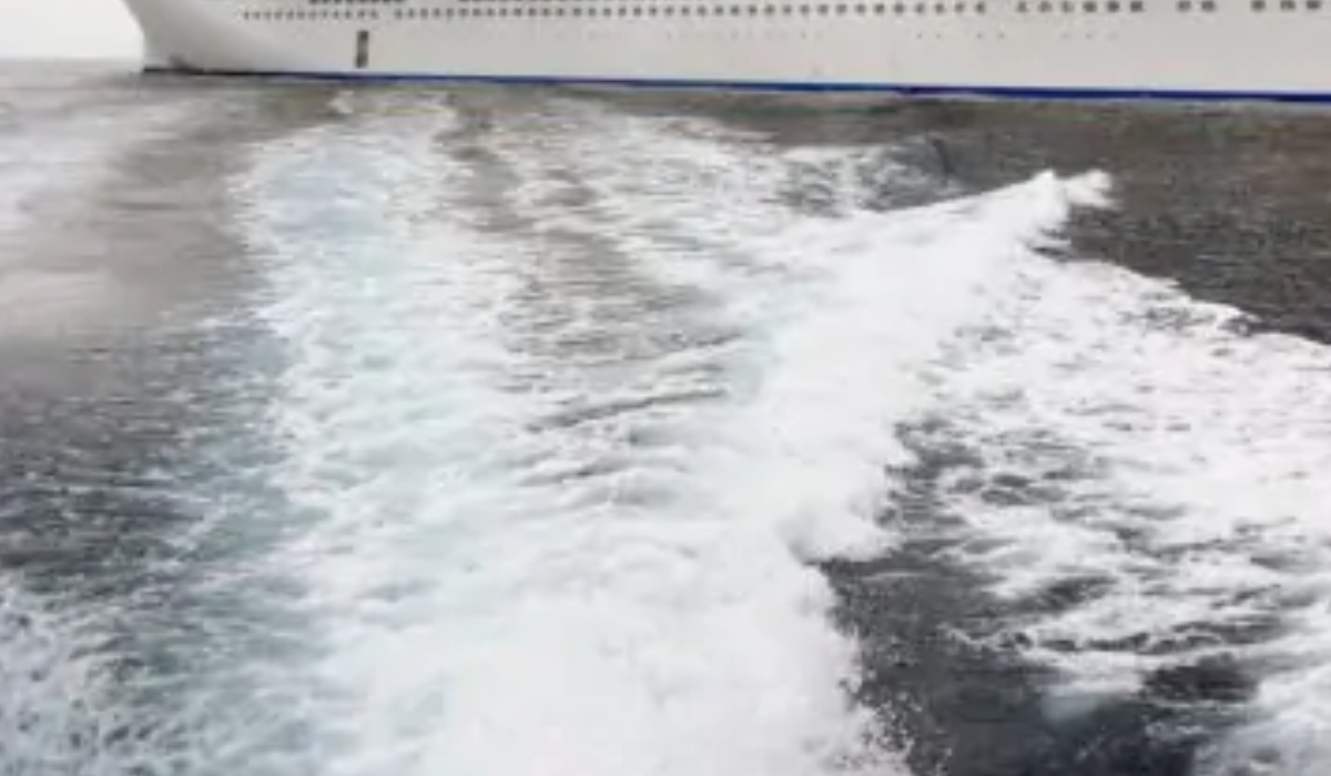 Auto anfibia a Genova: il video della “jeep d’acqua”