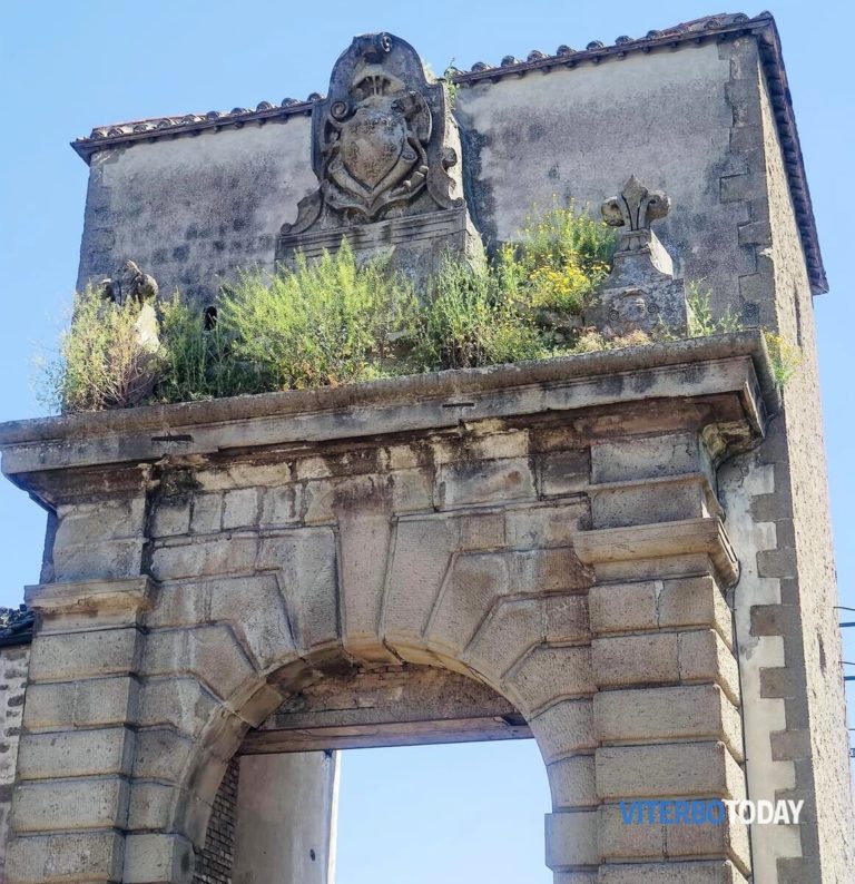 porta faul in alto le erbacce che coprono gli stemmi del comune e della chiesa 2