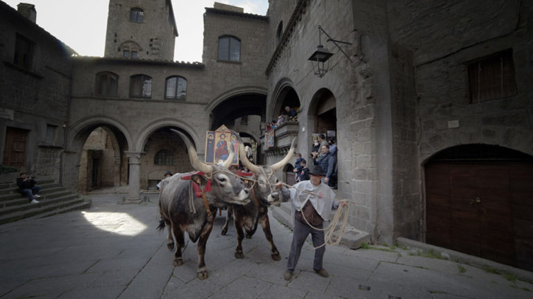 processione santissimo salvatore foto parrocchia santa maria nuova
