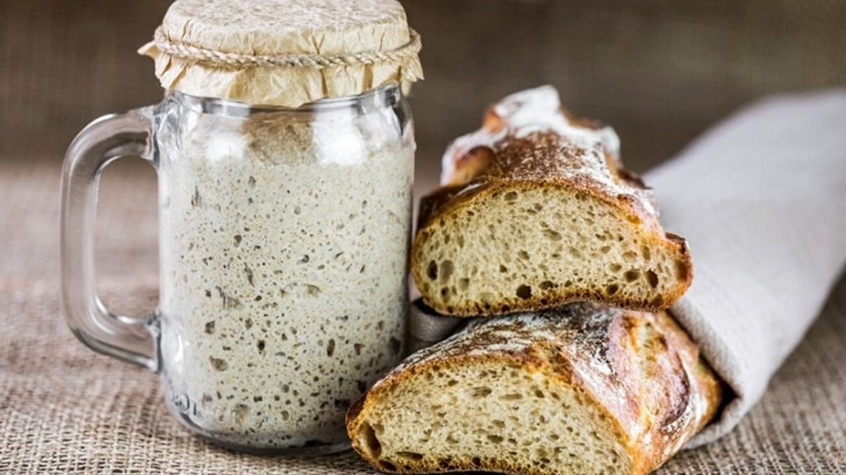 ricetta della pasta madre fatta in casa 5