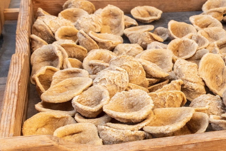 PM Orecchiette