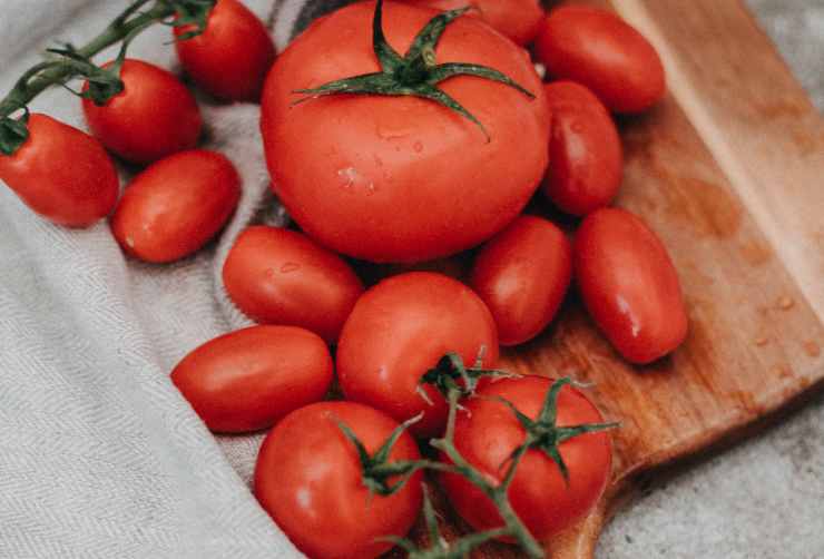 È questa la pianta che tutti dovremmo avere vicino ai pomodori per averli succosi 1 Pomodori 3