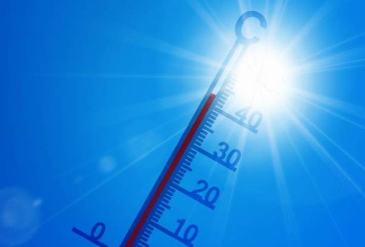 Se api e vespe arrivano a tavola allontanale così: non si avvicineranno mai più 1 Termometro