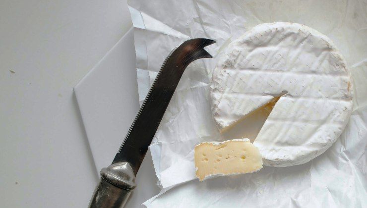brie