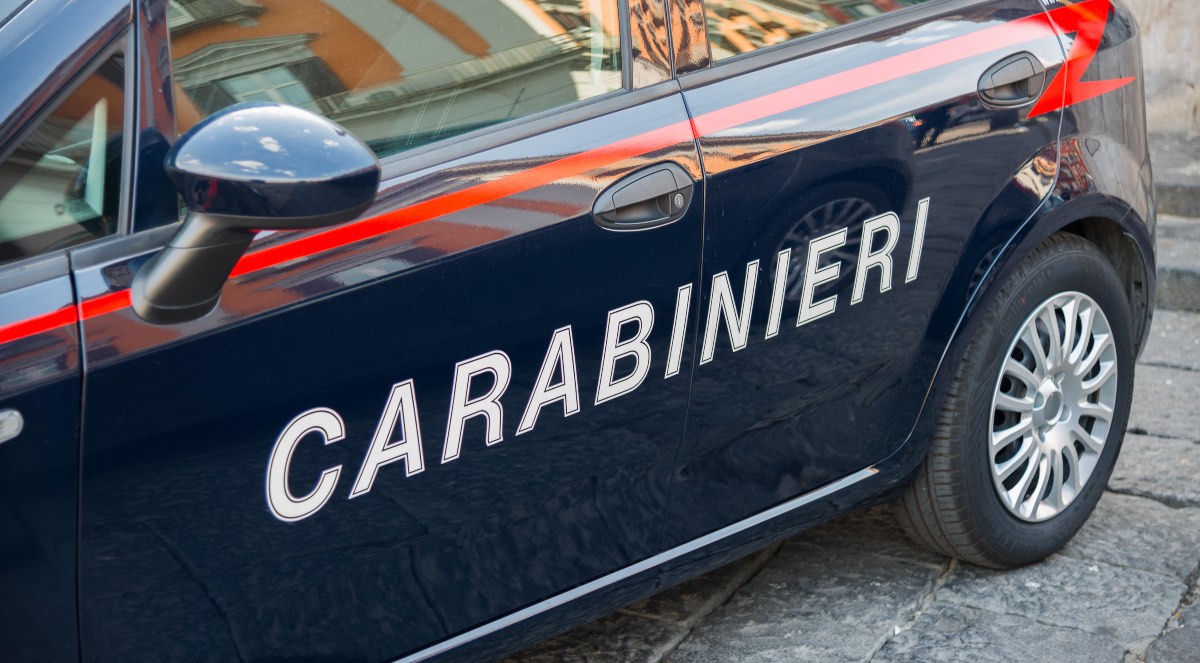 Firenze, bambina di 5 anni scomparsa: si cerca la piccola Cata 1 image b06fb944 250e 4ab9 af84 d67999bff019