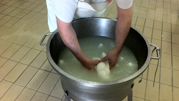 preparare la mozzarella