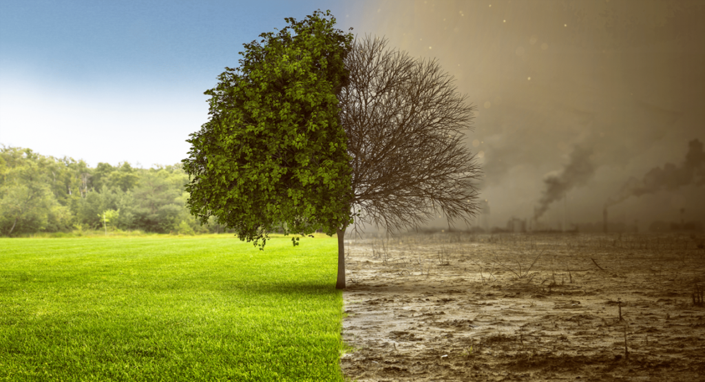 14 ambiente e1677082357441 1162x630.png