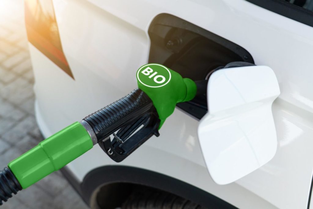 Biocarburanti.jpg