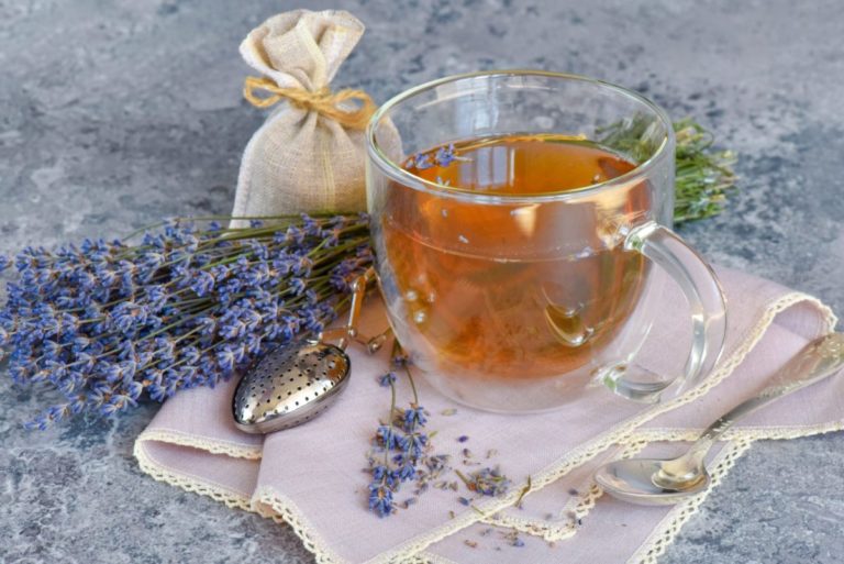Infuso lavanda scaled.jpeg