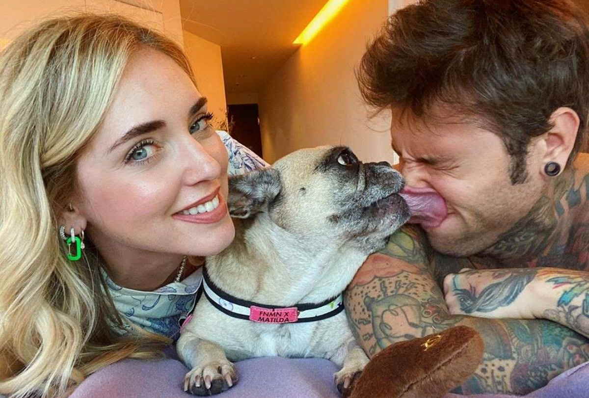chiara ferragni cane matilde morta.jpg