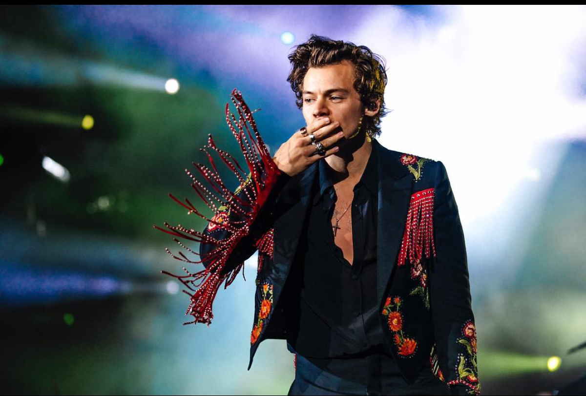 Fernanda Number Six, chi è la vera protagonista del concerto di Harry Styles a Campovolo? 1 harry styles gay.jpg