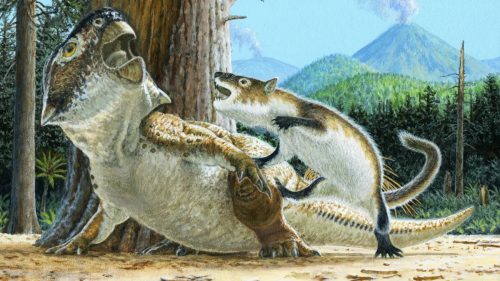 mammal attack dinosaur l 2 500x281.jpg
